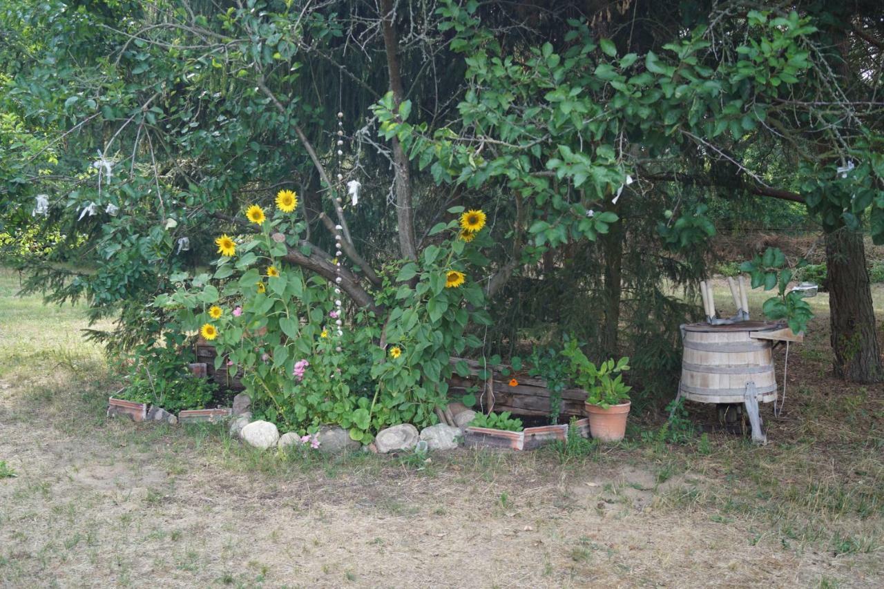 Ferienwohnung Rehagen Sued Am Mellensee Εξωτερικό φωτογραφία