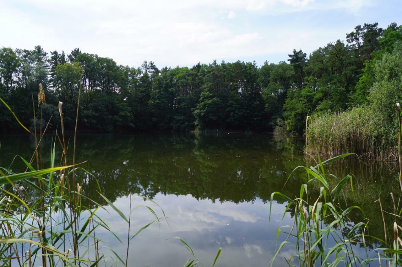 Ferienwohnung Rehagen Sued Am Mellensee Εξωτερικό φωτογραφία