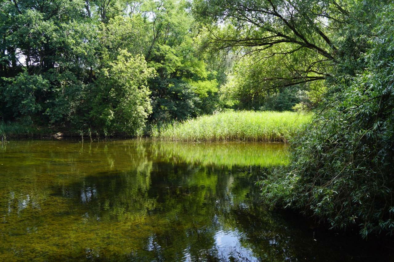 Ferienwohnung Rehagen Sued Am Mellensee Εξωτερικό φωτογραφία